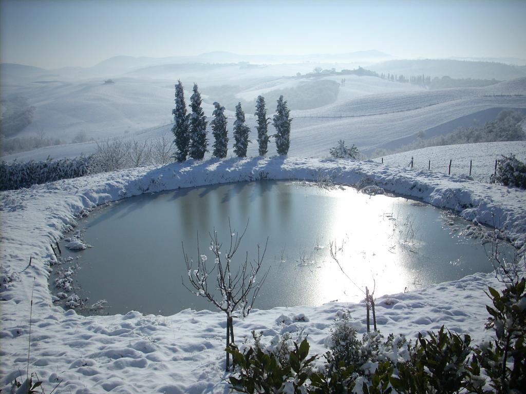 Agriturismo Podernuovo Asciano Esterno foto