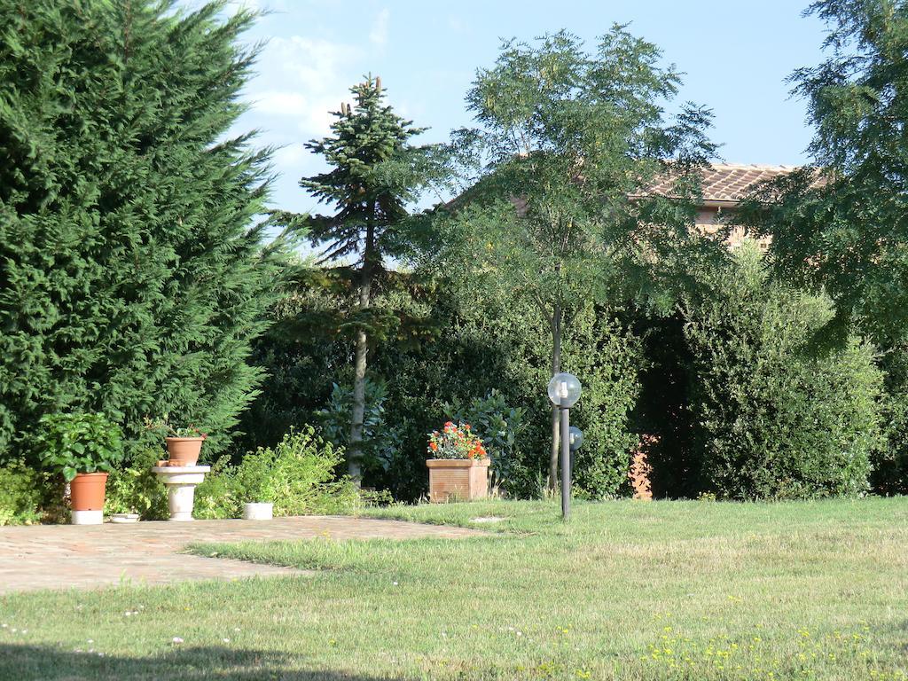 Agriturismo Podernuovo Asciano Esterno foto