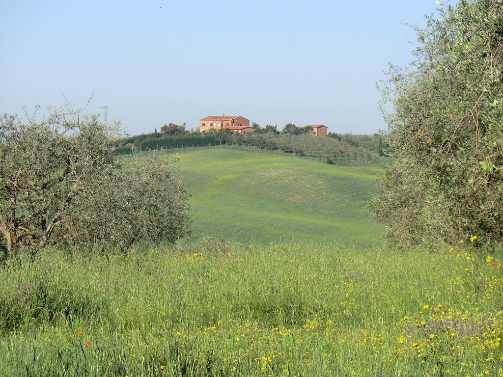 Agriturismo Podernuovo Asciano Esterno foto
