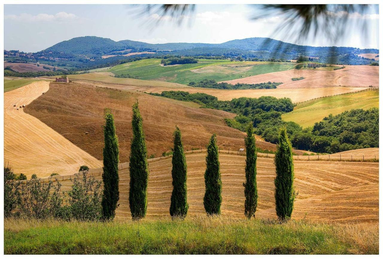 Agriturismo Podernuovo Asciano Esterno foto