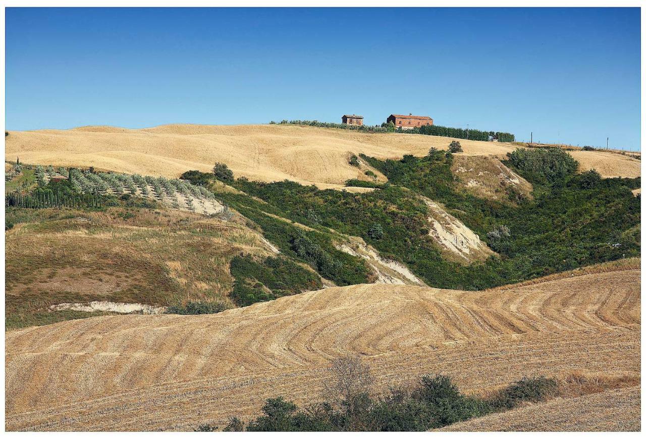 Agriturismo Podernuovo Asciano Esterno foto